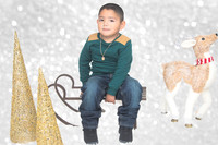 Patty'sChristmasPhotos2016